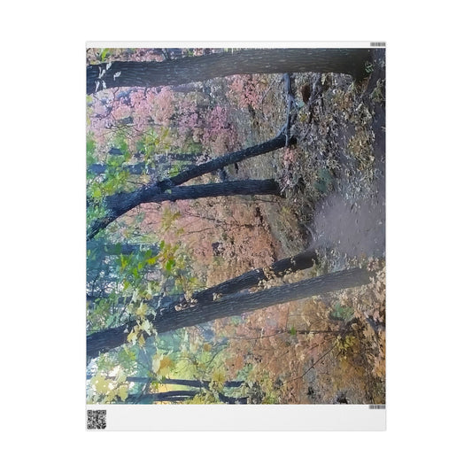 Wrapping Paper - Hiking Trail  (Sedona)
