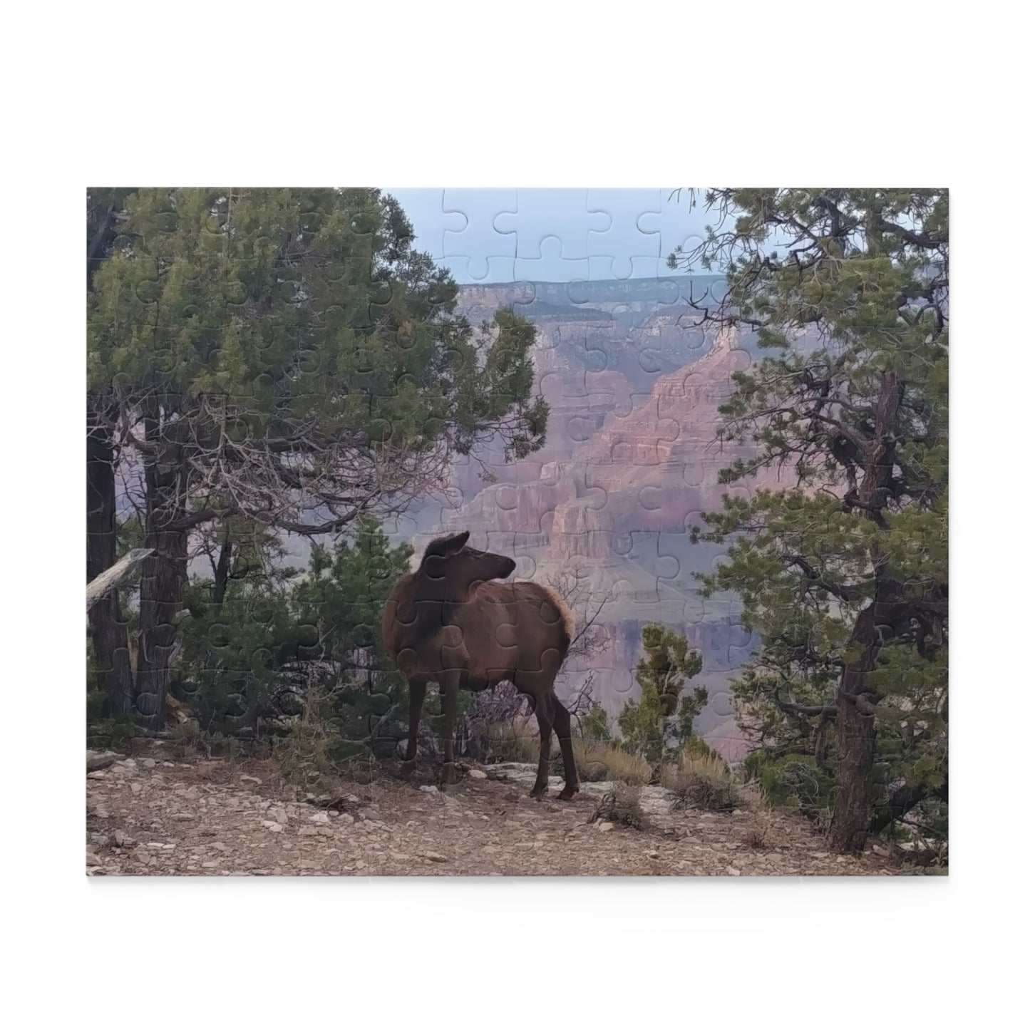 Puzzle -  Elk at Grand Canyon  (3 sizes)