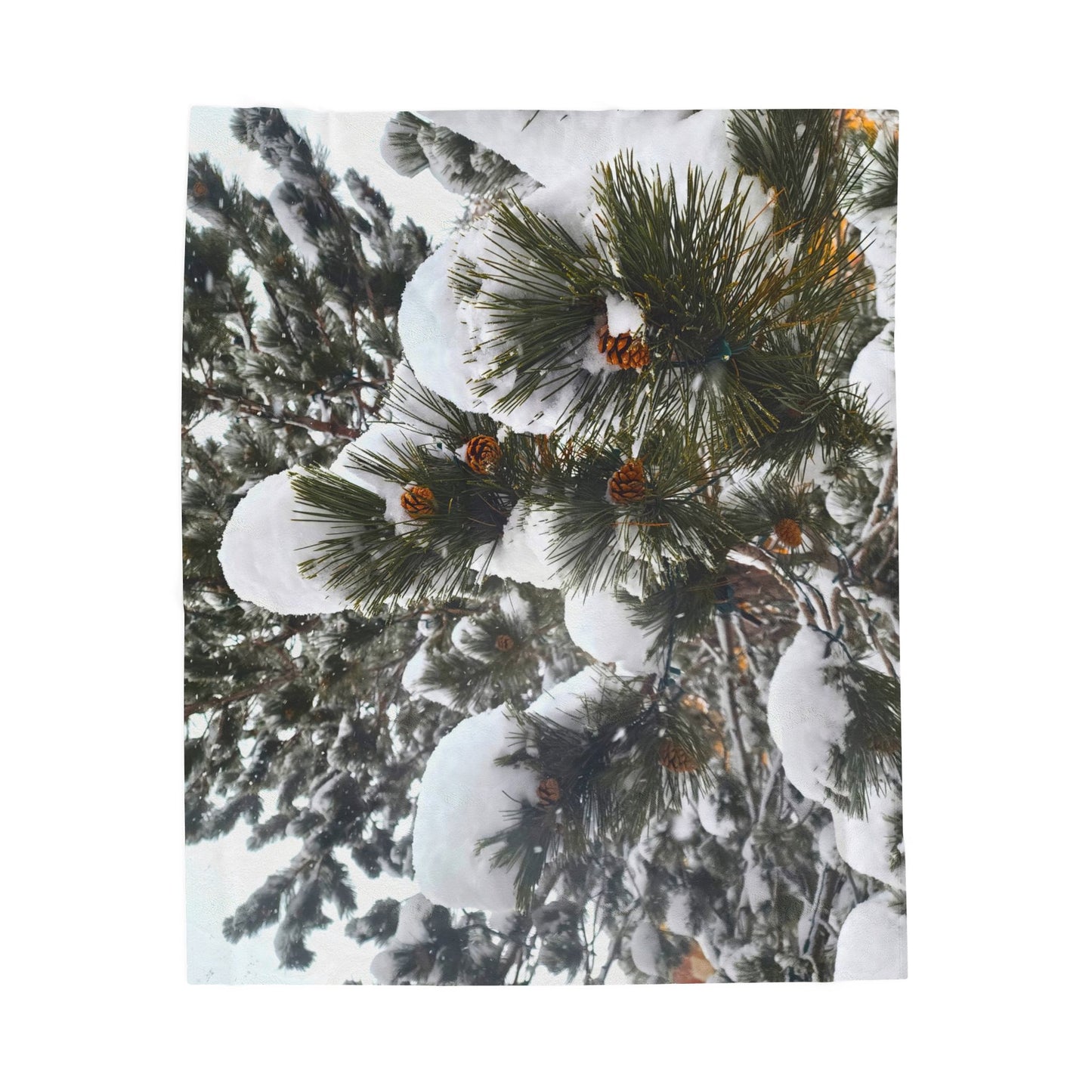 Blanket  - Pine Cones in Snow