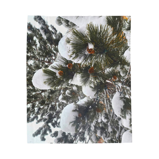 Blanket  - Pine Cones in Snow