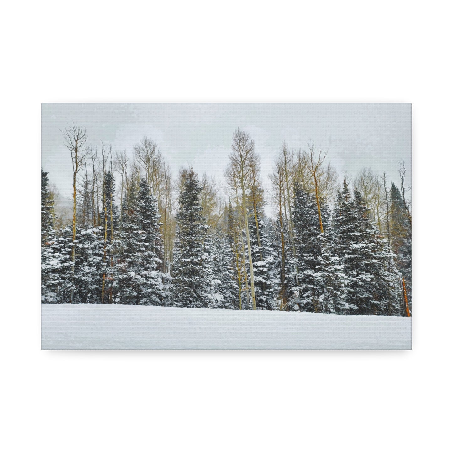 Canvas Wall Art - Forest Winterscape