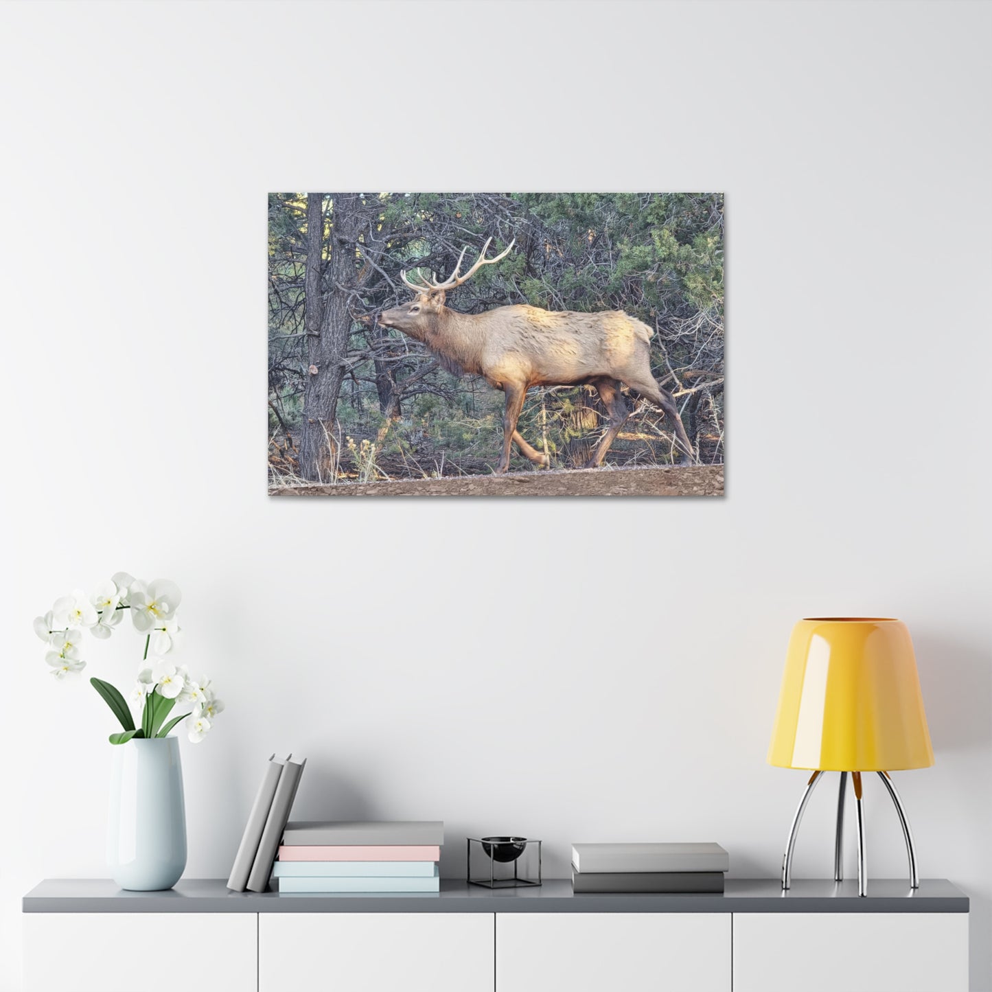 Canvas Wall Art - Elk