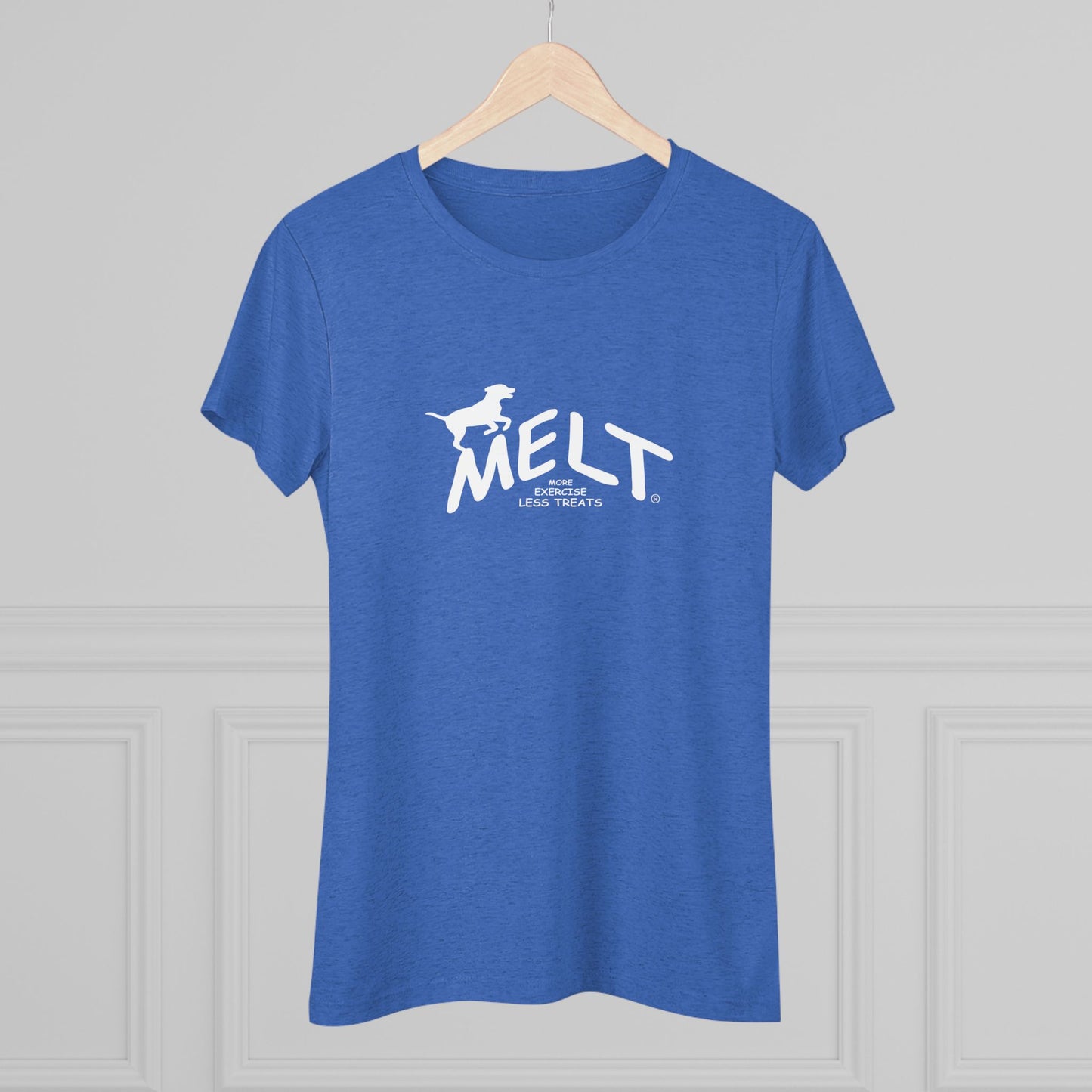 Women's Triblend Tee - MELT for dogs