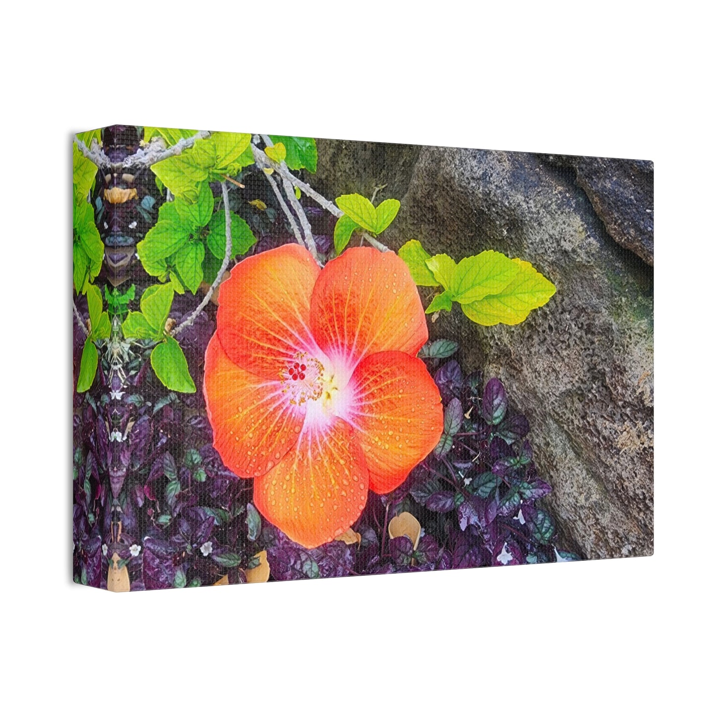 Canvas Wall Art - Hawaiian Hibiscus Flower