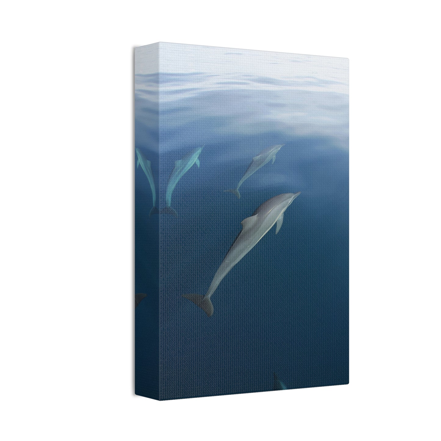 Canvas Wall Art - Dolphins