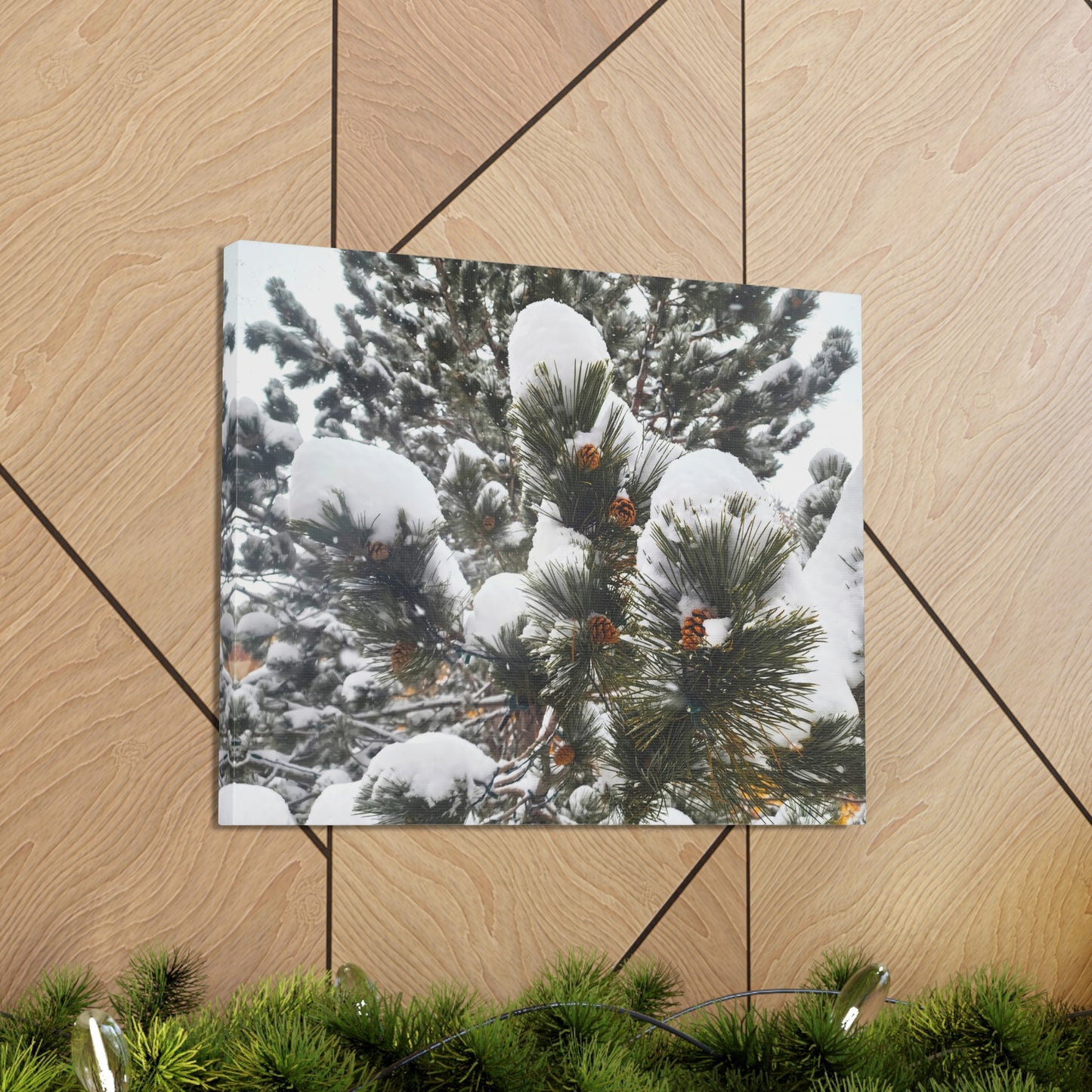 Canvas Gallery Art - Pine cones with snow