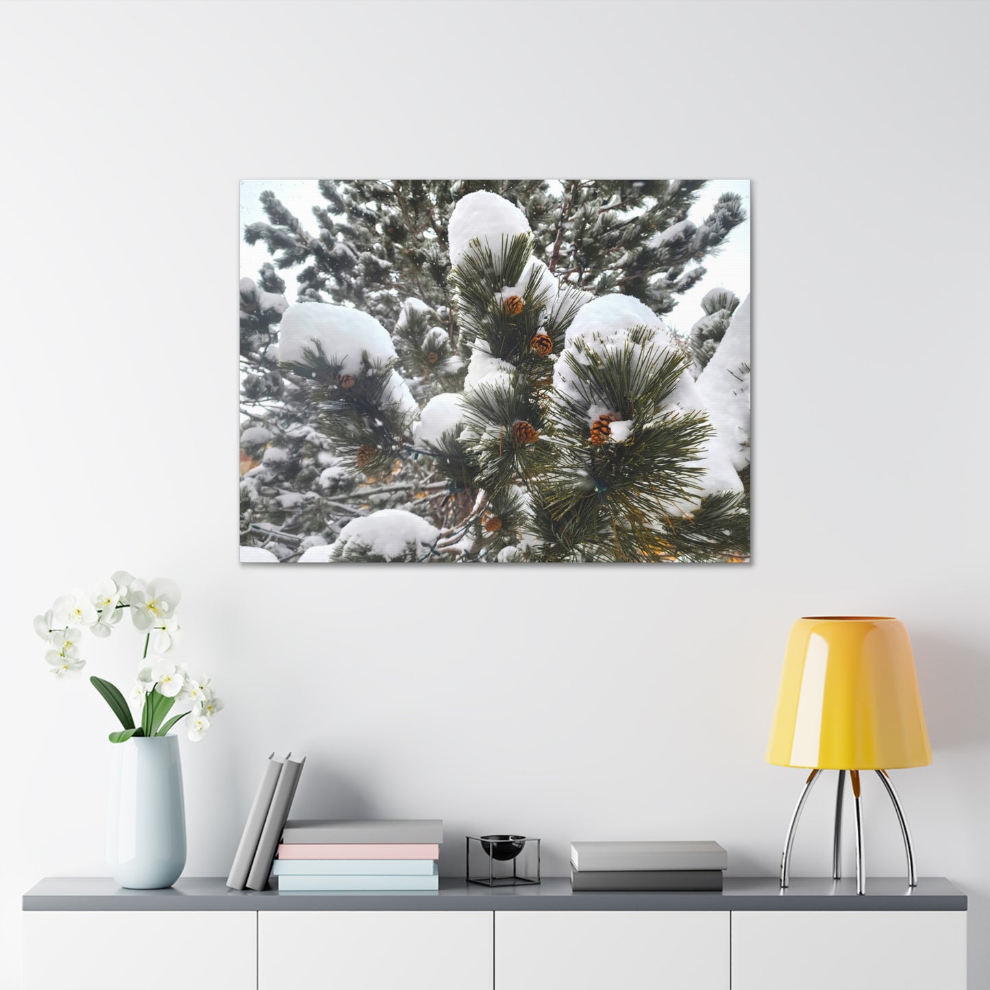 Canvas Gallery Art - Pine cones with snow