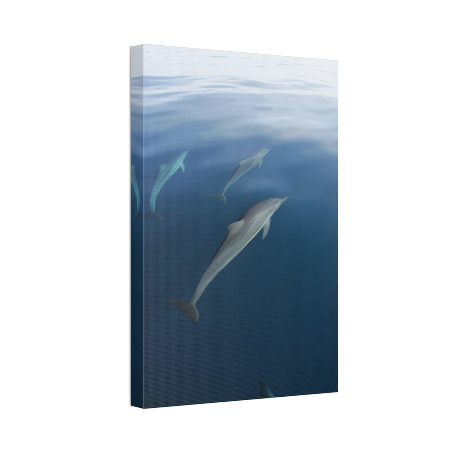 Canvas Wall Art - Dolphins