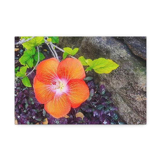 Canvas Wall Art - Hawaiian Hibiscus Flower
