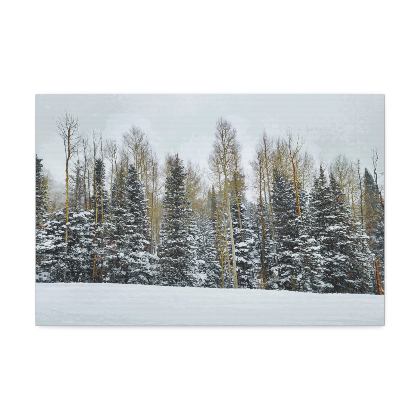 Canvas Wall Art - Forest Winterscape
