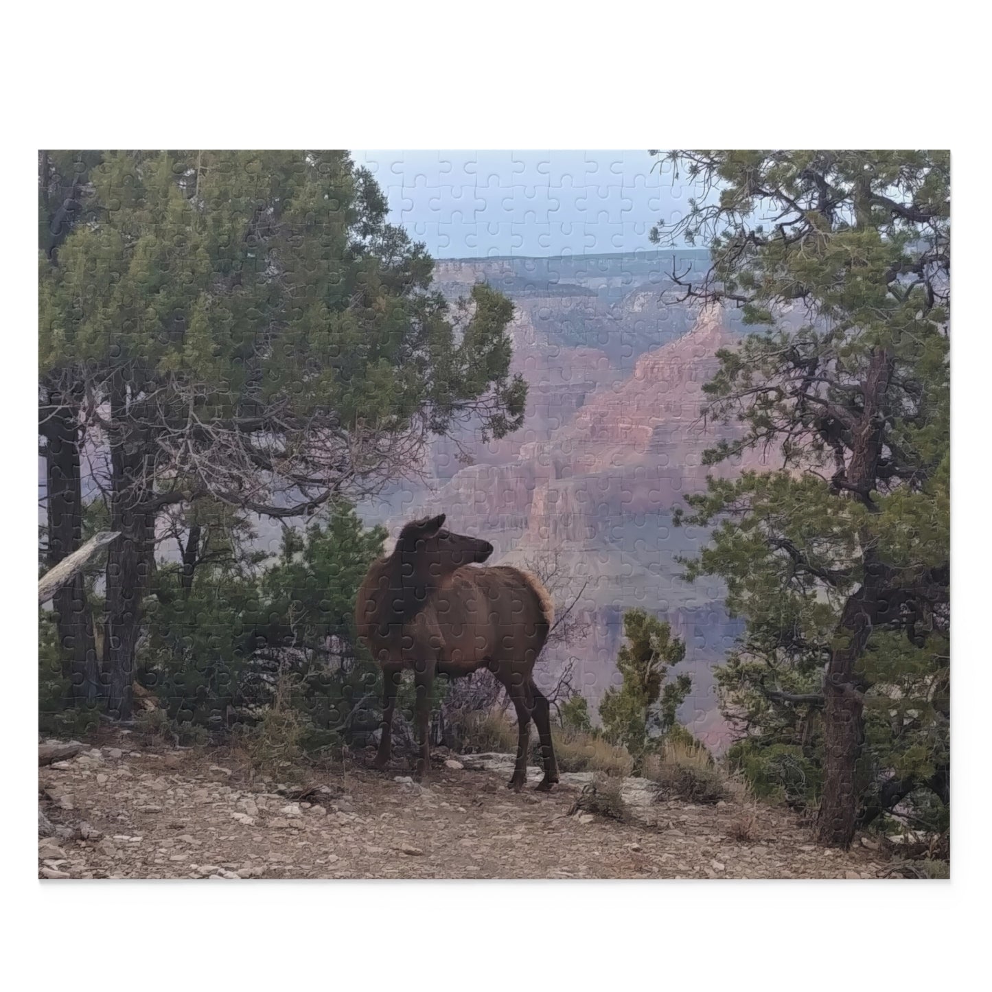 Puzzle -  Elk at Grand Canyon  (3 sizes)