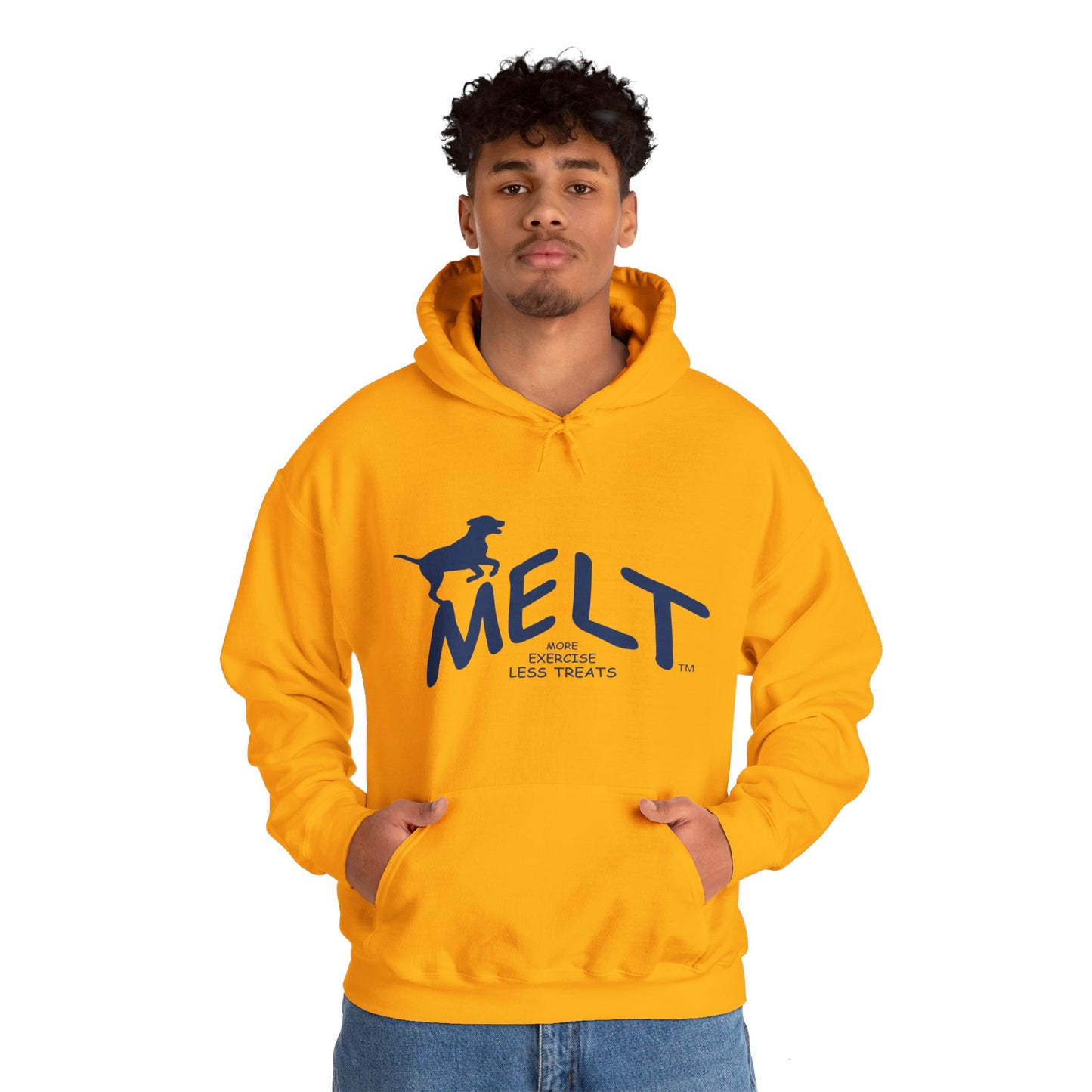 Hooded Sweatshirt (unisex) - MELT   (blue)