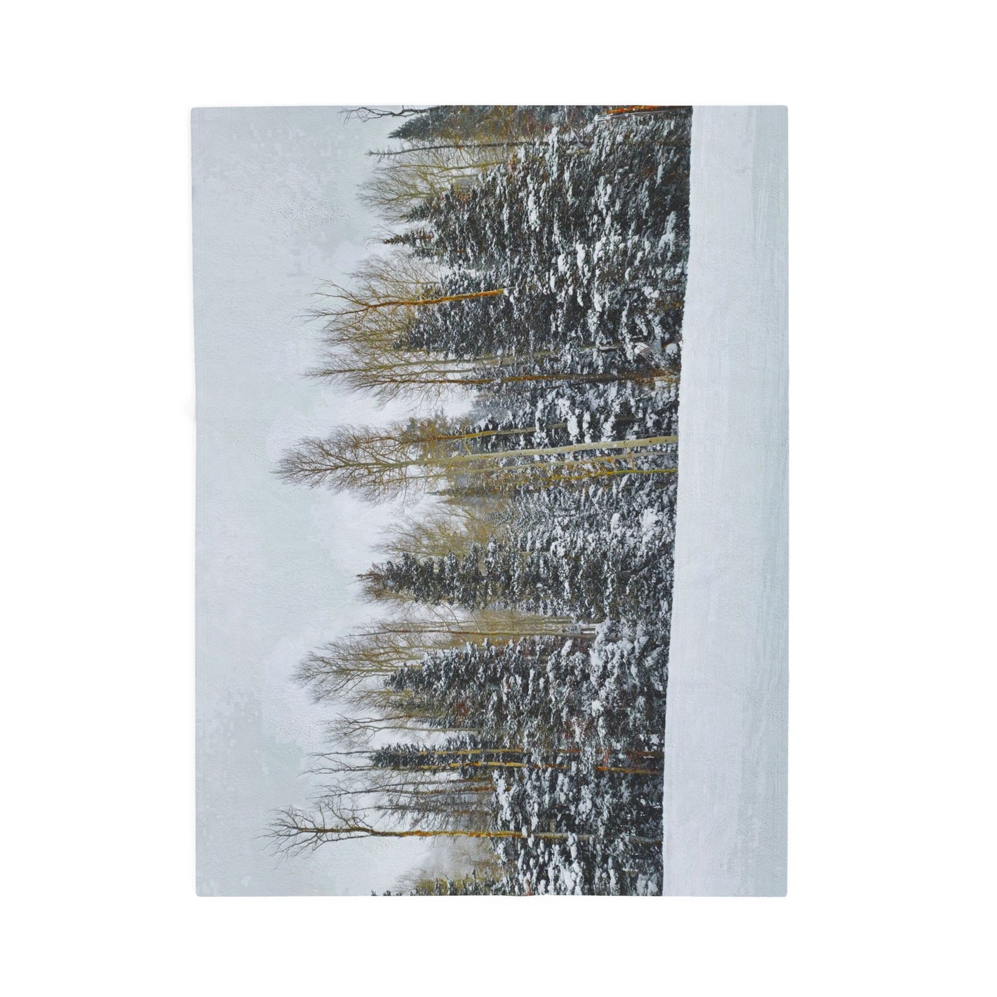 Blanket  - Forest Winterscape