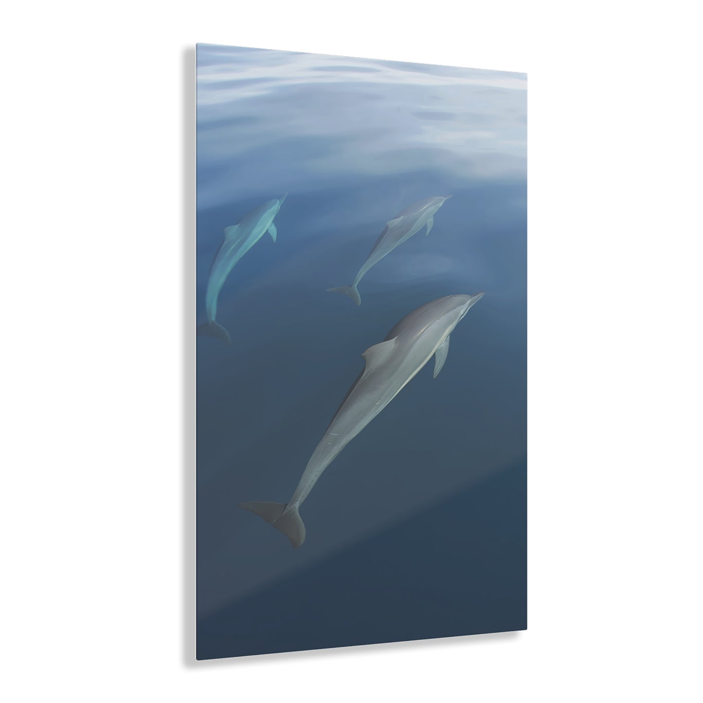 Acrylic Art - Dolphins  (Fiji)  large