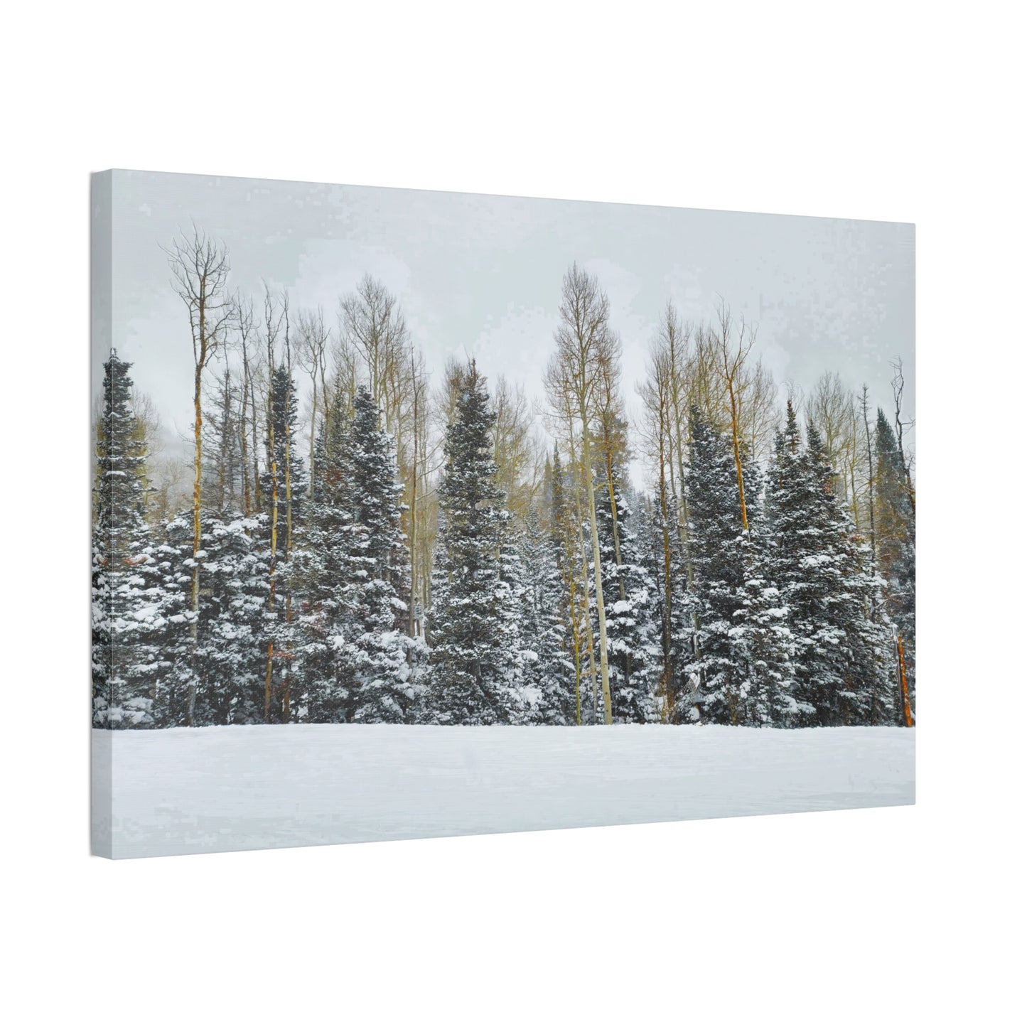 Canvas Wall Art - Forest Winterscape