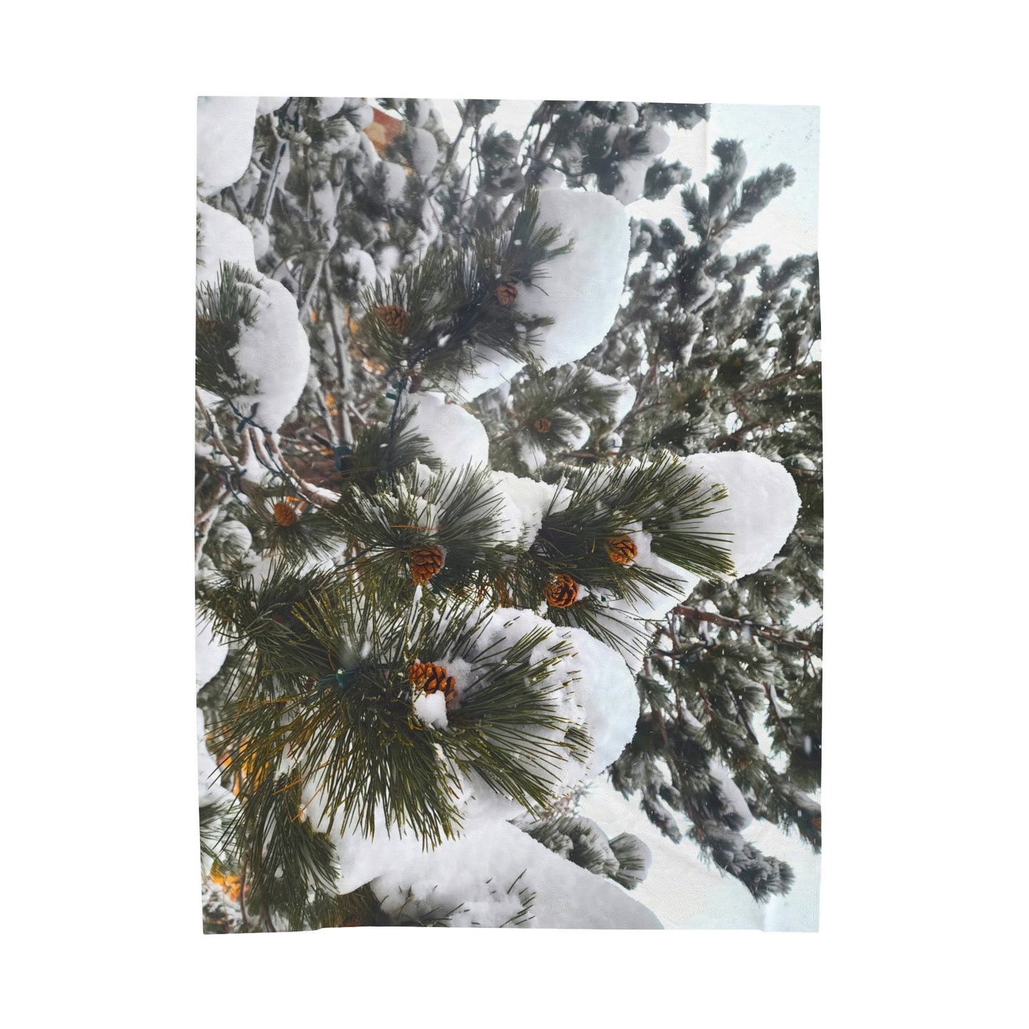 Blanket Velveteen Plush - Pine cones with snow