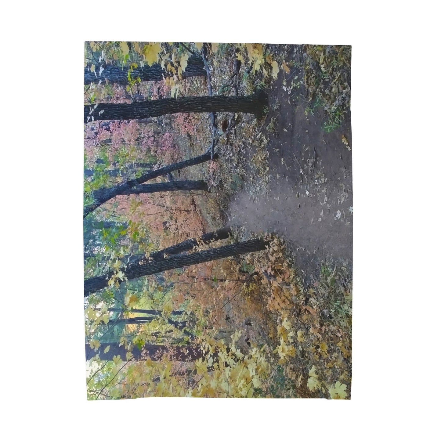 Blanket  - Hiking Trail in Sedona