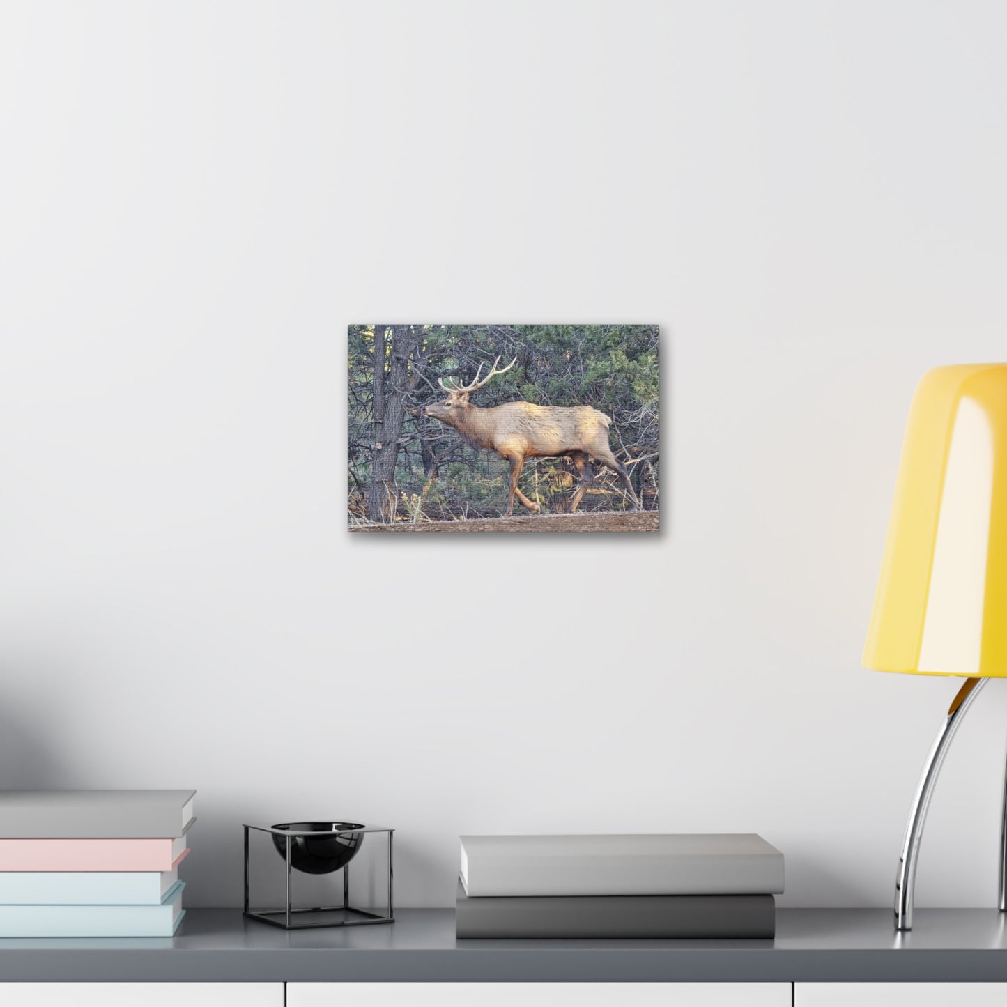 Canvas Wall Art - Elk