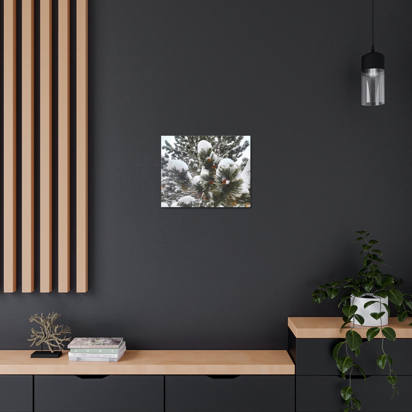 Canvas Gallery Art - Pine cones with snow