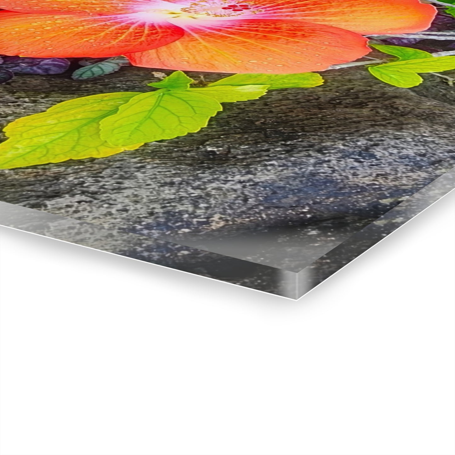 Acrylic Wall Art - Hibiscus (Hawaiian)
