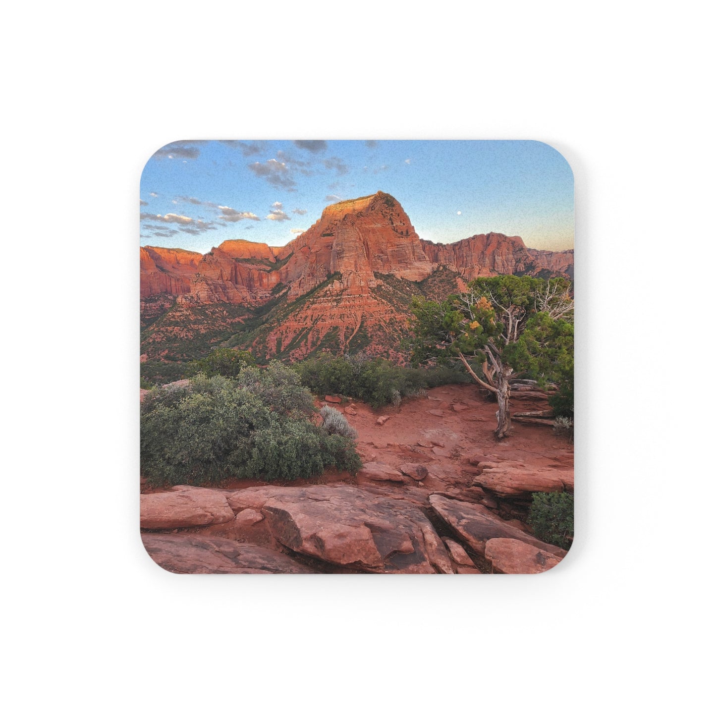Coaster - Kolob Canyons  (Zion National Park)