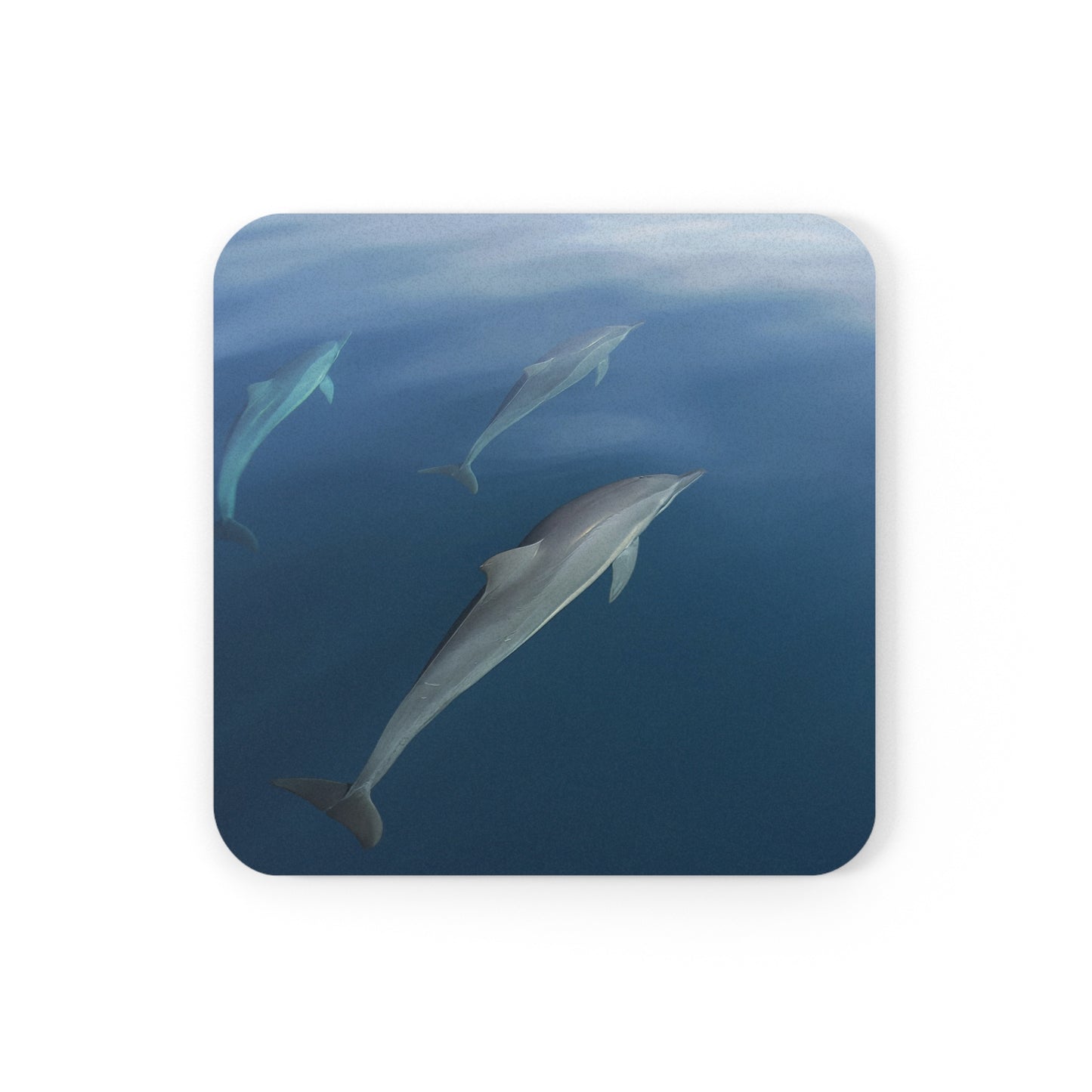 Coaster - Dolphins  (Fiji)