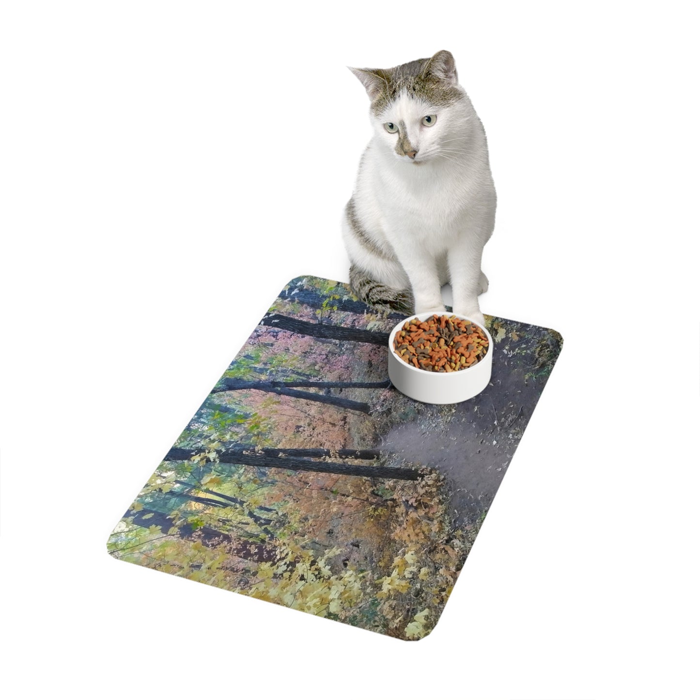 Dog Food Mat - Hiking Trail (Sedona)