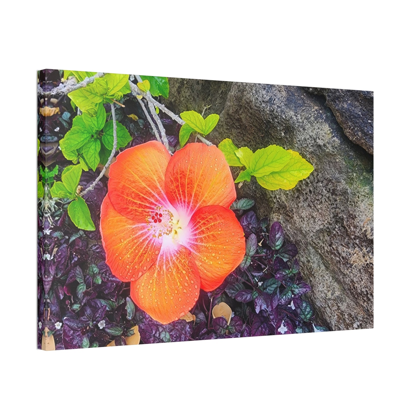 Canvas Wall Art - Hawaiian Hibiscus Flower