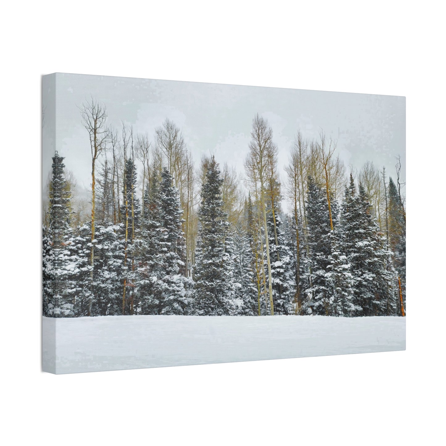 Canvas Wall Art - Forest Winterscape
