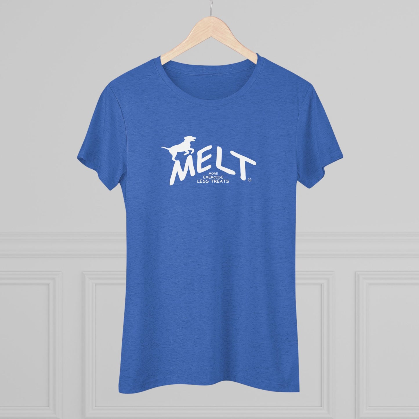 Women's Triblend Tee - MELT for dogs