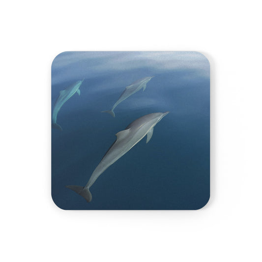 Coaster - Dolphins  (Fiji)