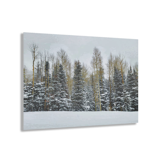 Acrylic Art - Forest Winterscape