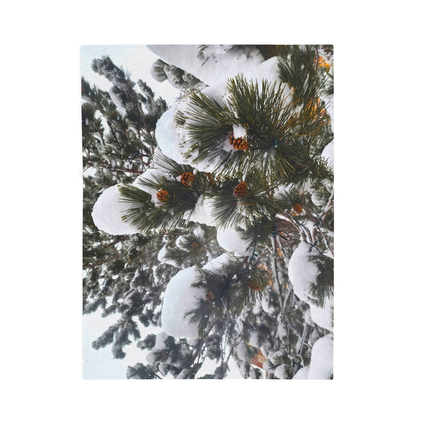 Blanket  - Pine Cones in Snow