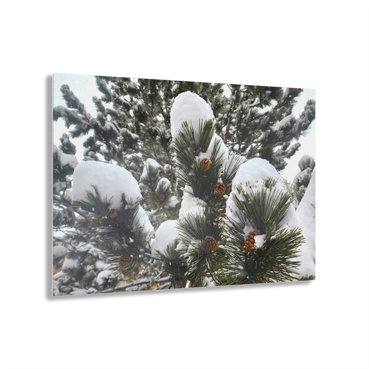 Acrylic Art - Pine cones with snow