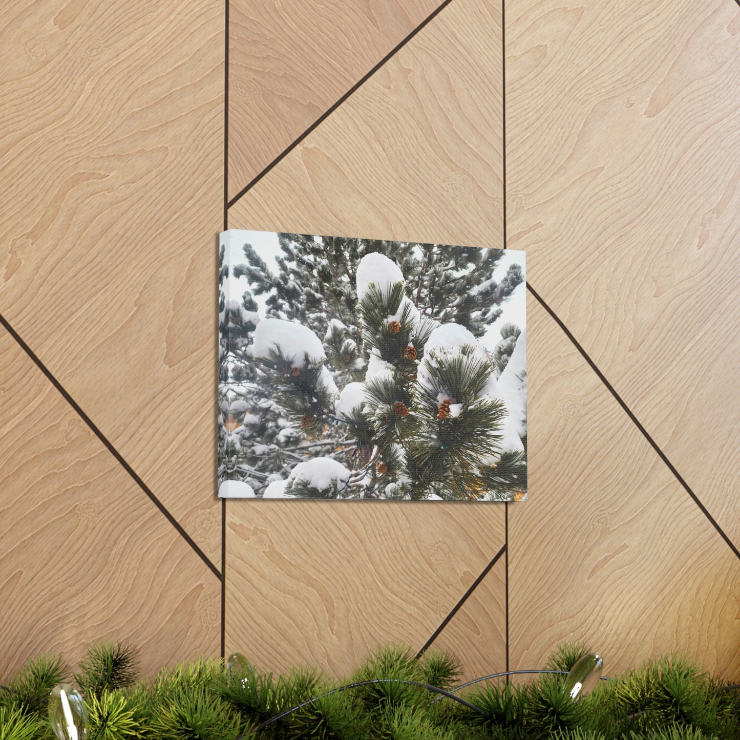 Canvas Gallery Art - Pine cones with snow