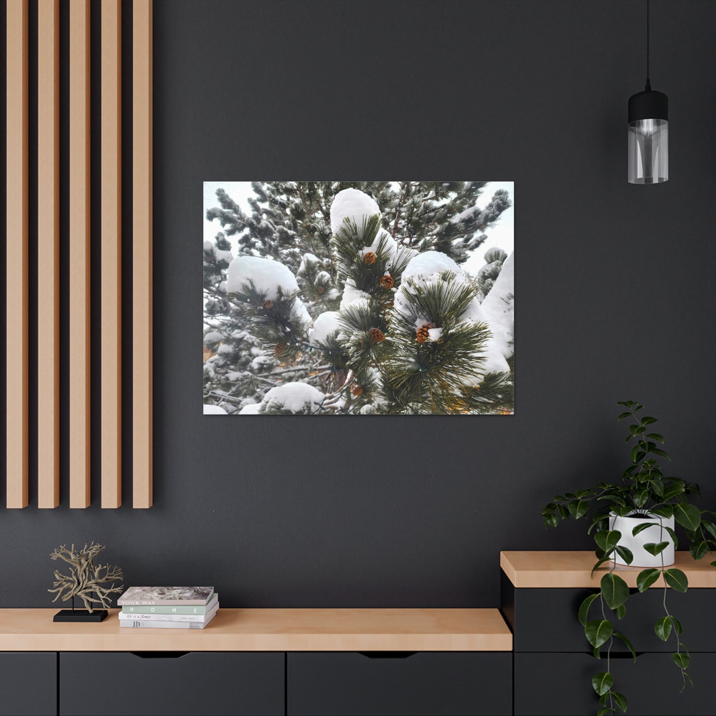 Canvas Gallery Art - Pine cones with snow