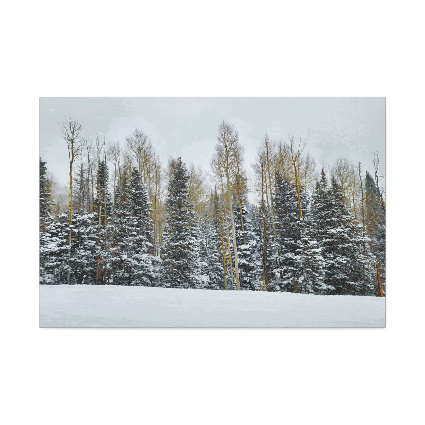 Canvas Wall Art - Forest Winterscape