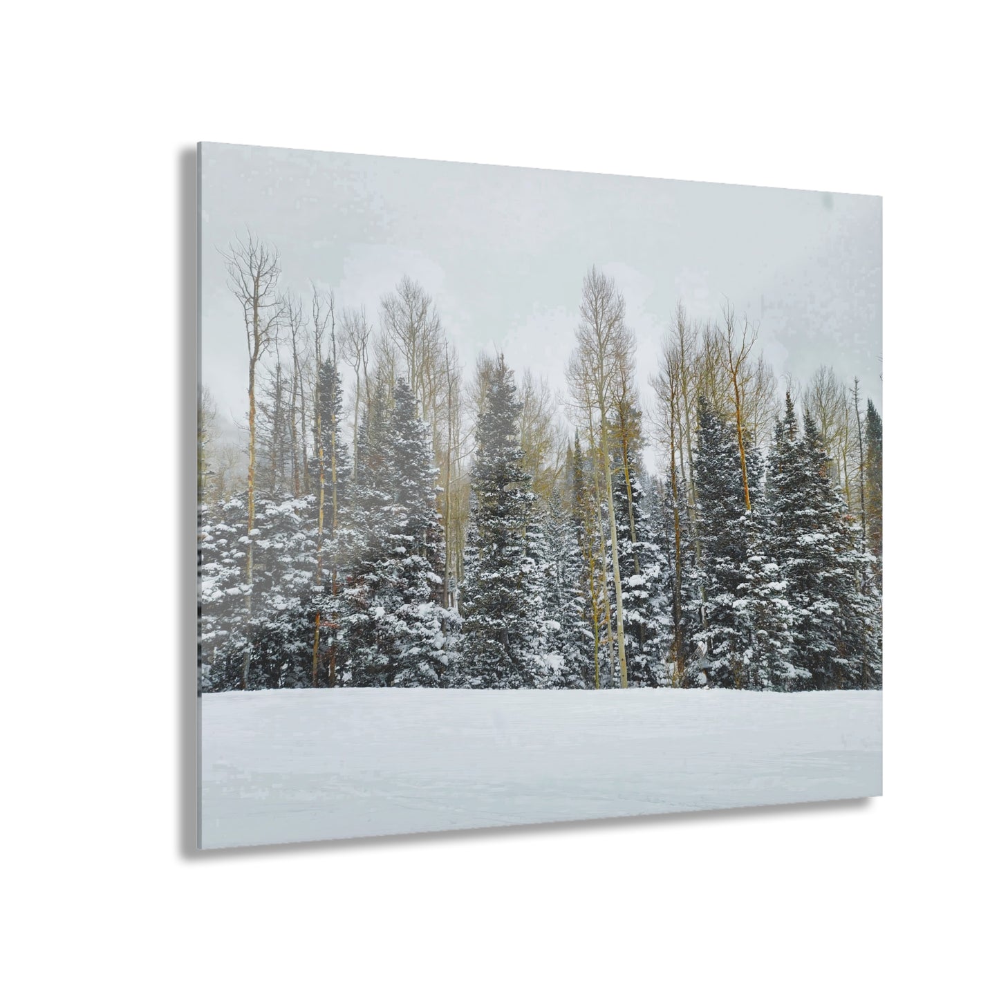Acrylic Wall Art - Forest Winterscape