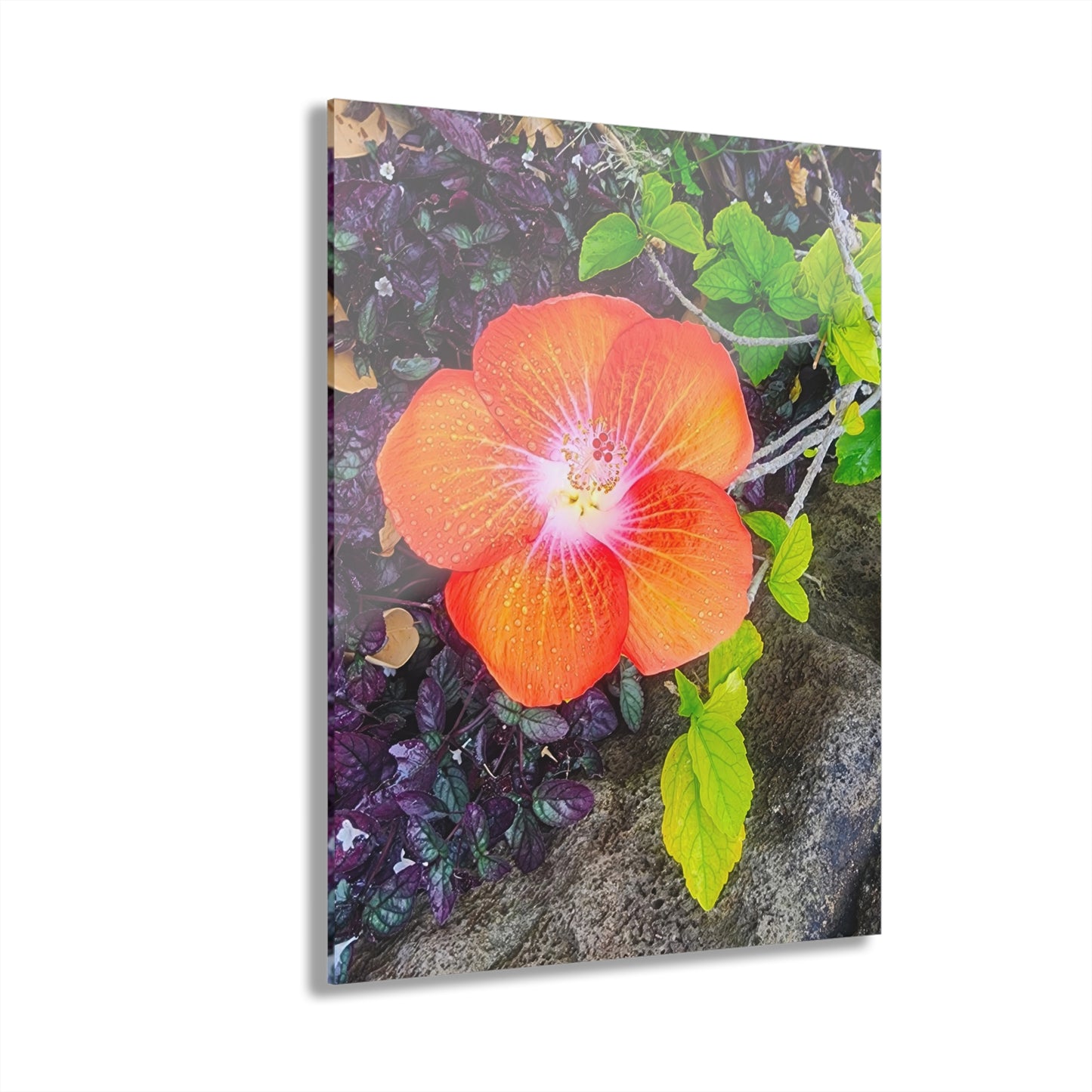 Acrylic Wall Art - Hibiscus (Hawaiian)