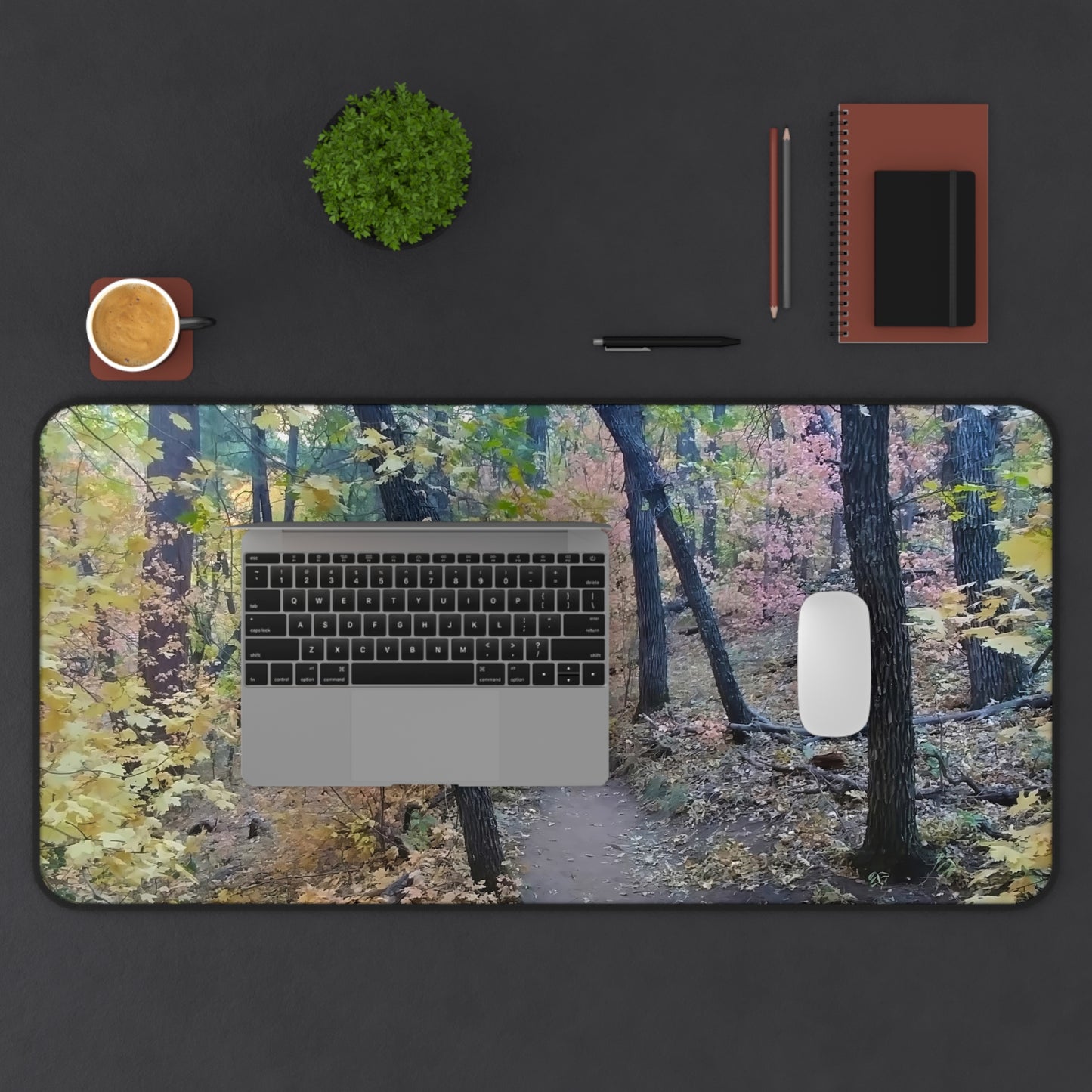 Desk Mat - Hiking Trail (Sedona)