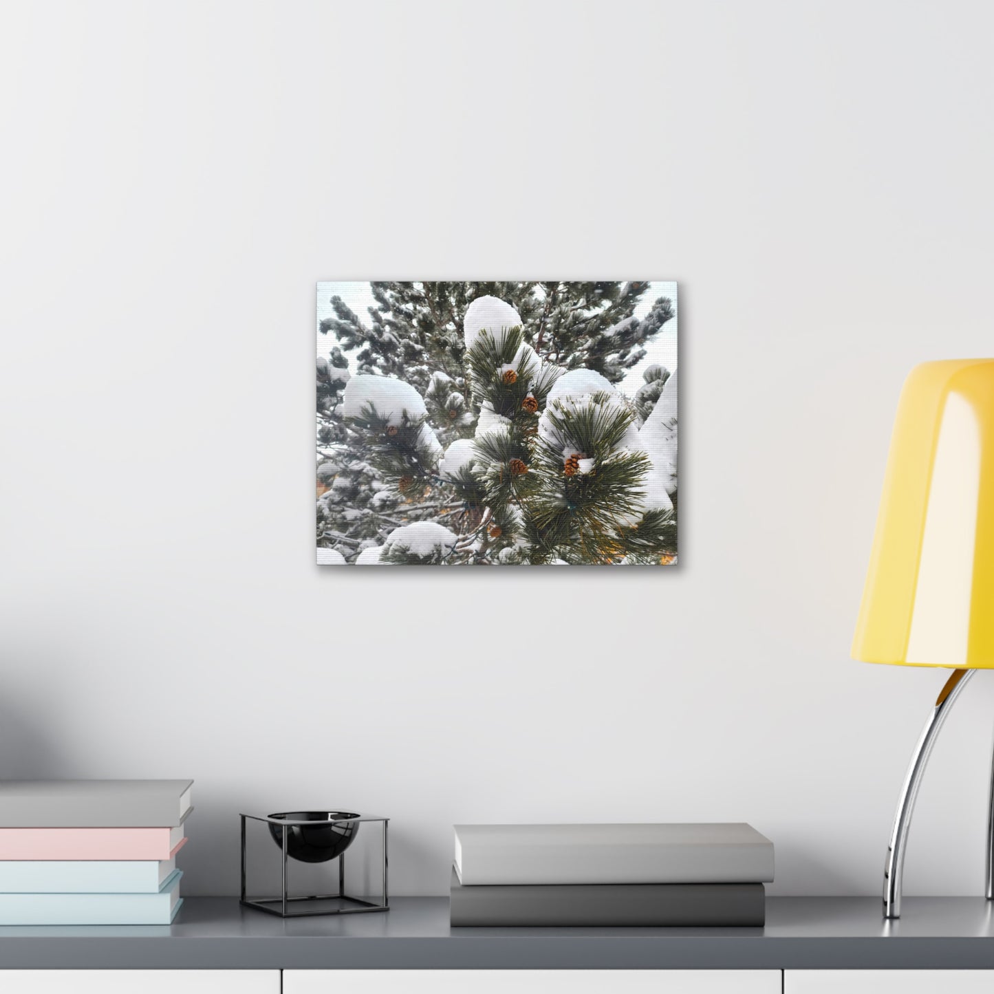 Canvas Gallery Art - Pine cones with snow