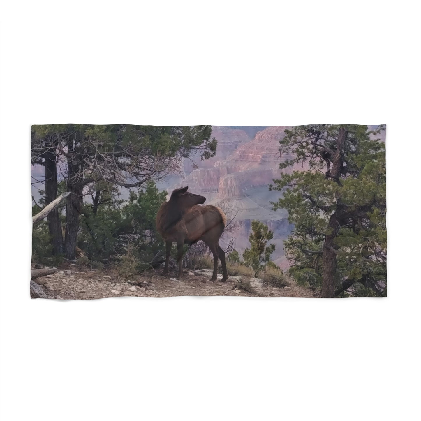 Beach, Bath & Pool Towel - Elk on rim of Grand Canyon