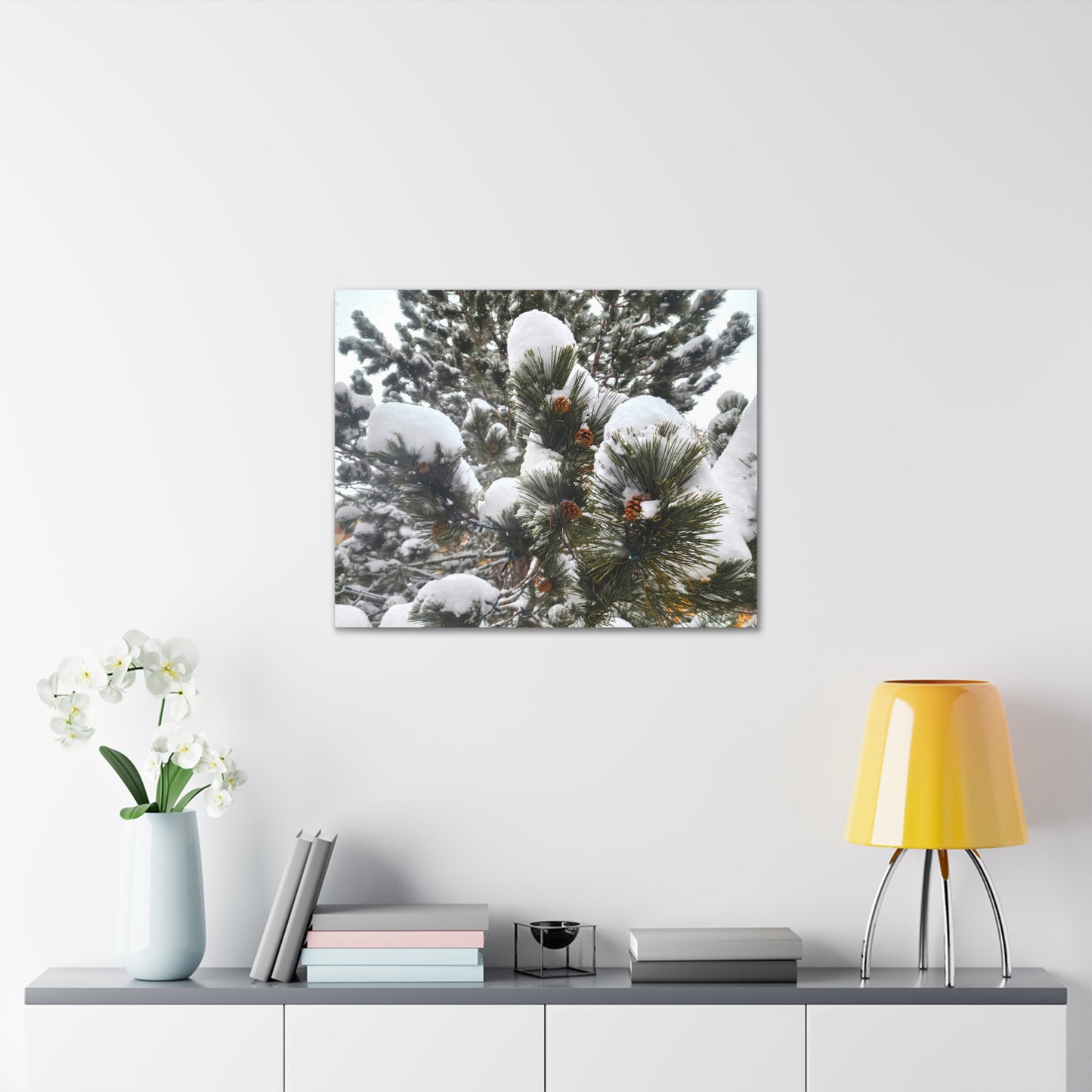 Canvas Gallery Art - Pine cones with snow