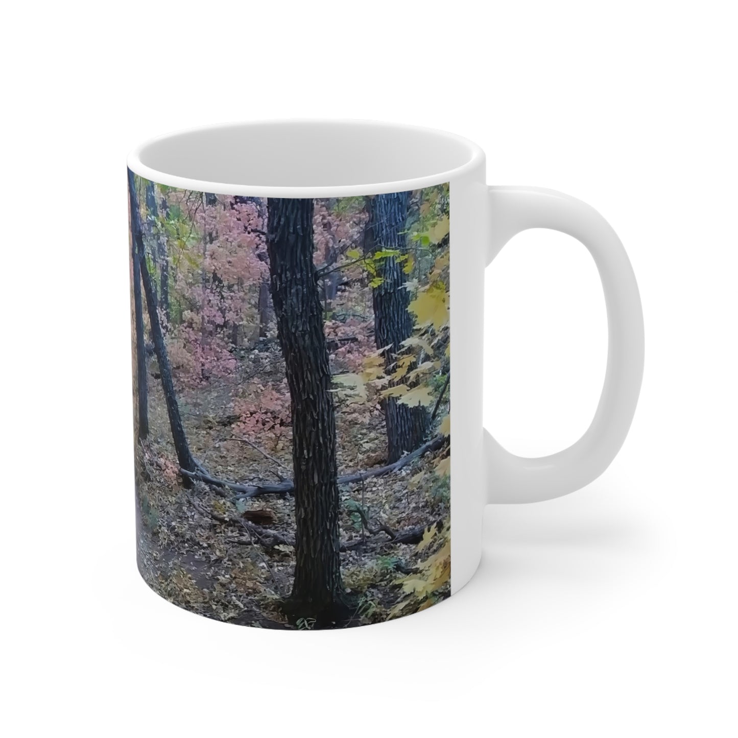 Coffee Mug - Boynton Canyon trail  (Sedona)