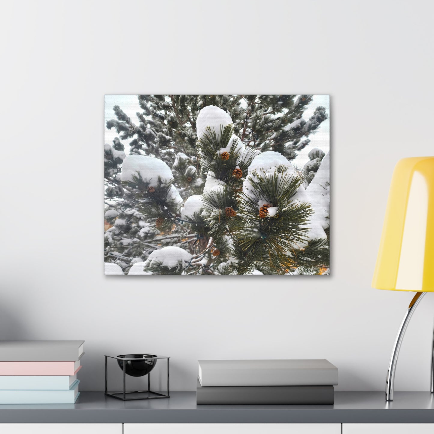 Canvas Gallery Art - Pine cones with snow