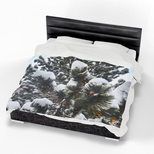 Blanket  - Pine Cones in Snow