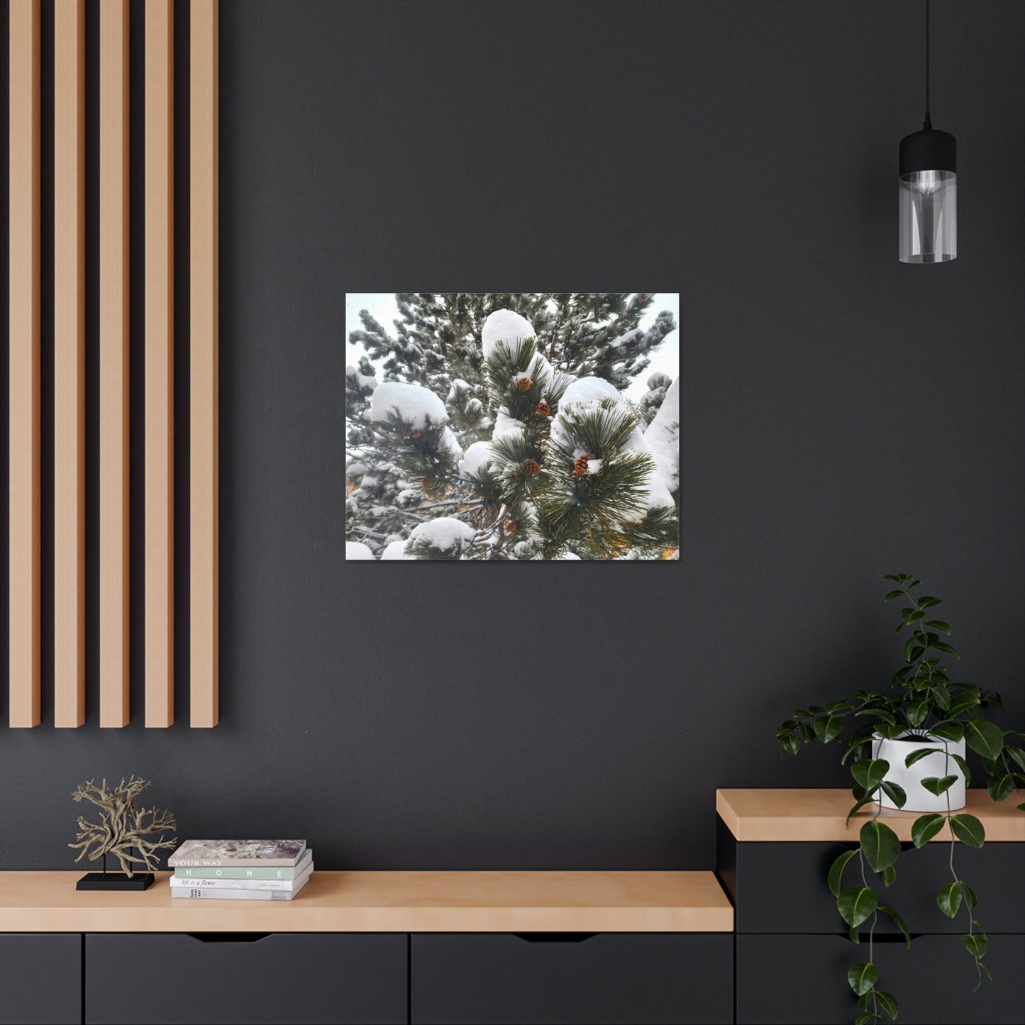 Canvas Gallery Art - Pine cones with snow