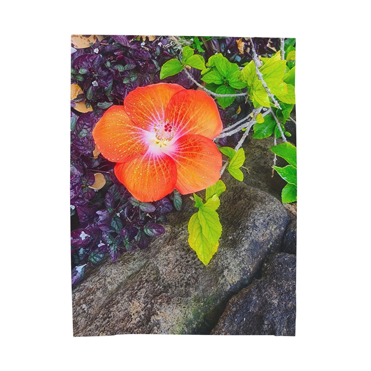 Blanket  - Hawaiian Hibiscus Flower