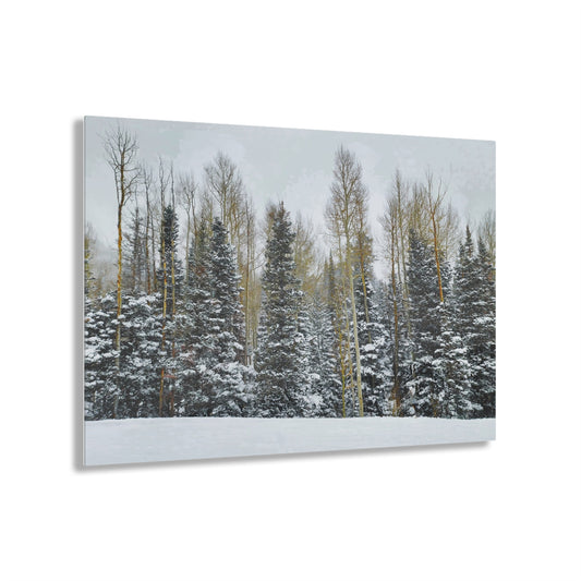 Acrylic Art - Forest Winterscape