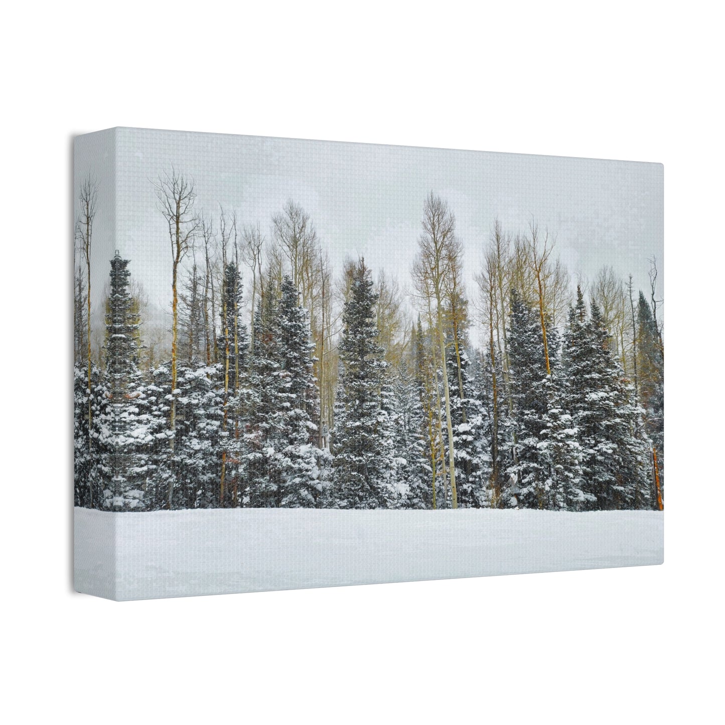 Canvas Wall Art - Forest Winterscape